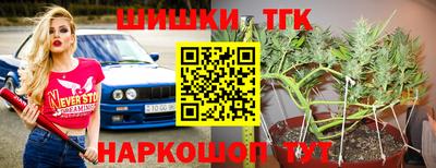 хмурый Тара