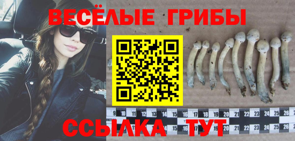 Псилоцибиновые грибы Psilocybe  Вход с VPN  Павловский Посад 